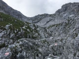 Bestens markiert aber steil und weglos,#
