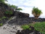 Alahaka Ramp