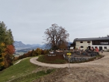 Möslalm mit Auffahrt für Radfahrer (Rodelbahn im Winter),#
