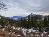 Schafberg