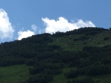 Auerspitz