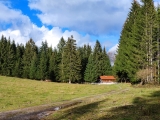 An der Lehenpointalm,#