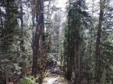 Kammweg,#