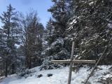 Gipfelkreuz am Aussichtspunkt (Foto gespeichert zu Ausgangspunkt Aussichtspunkt Felix-Köpfl),#