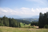 Auf dem Weg zum Aussichtsturm (Foto gespeichert zu <a href=/wanderweg/hoefle-alpe-aussichtsturm-hauchenberg-653/>Weg</a>),#