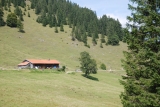 Blick auf die Bärenmoosalp (Foto gespeichert zu Ausgangspunkt Bärenmoosalp),#
