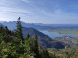 Bergelskopf