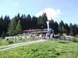 Tregler Alm