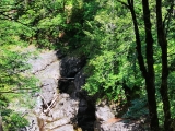 Juifen