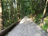 Forststraße zur Mittelstation (Start der Sommerrodelbahn),#