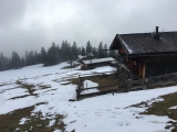 Bodenschneid