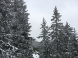 Blick auf die Wasserspitz (Foto gespeichert zu <a href=/wanderweg/rinnerspitz-wasserspitz-2075/>Weg</a>),#