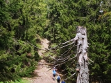 Steigbeginn am Suttenstein (Foto gespeichert zu <a href=/wanderweg/suttenstein-bodenschneid-2488/>Weg</a>),#