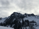 Bodenschneid