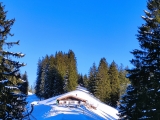 Boider-Alm (Foto gespeichert zu Ausgangspunkt Boider Kaser),#