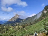 Weg mit <a href=/gipfel/aggenstein-1594/>Aggenstein-Blick</a> (Foto gespeichert zu <a href=/wanderweg/sebenalpe-gamskopf-23939/>Weg</a>) (Foto gespeichert zu Ausgangspunkt Aggenstein),#