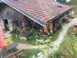 Blumenschmuck an der <a href=/freizeit/brentenjoch-alm-93181/>Brentenjoch-Alm</a> (Foto gespeichert zu Ausgangspunkt Brentenjoch-Alm),#