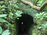 Cabeco dos Trinta