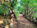 Breiter Wanderweg,#