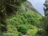 Hängebrücke (Foto gespeichert zu Ausgangspunkt Cavalete Hängebrücke),#