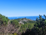 Blick zum Hochleckenhaus aus dem schwer zu findenden Jagaköpfl-Aufstieg durch die Latschen (Foto gespeichert zu <a href=/wanderweg/hochleckenhaus-jagerkoepfl-23107/>Weg</a>) (Foto gespeichert zu Ziel Hochleckenhaus),#
