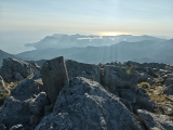 <b>Delphi </b> ,#