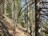 Aufstieg zum Rotofensattel ,#