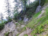 Kurz vor dem Abzweig zum Hausgrabenkopf wird es kurz sehr schmal (Foto gespeichert zu <a href=/wanderweg/loedensee-parkplatz-p2-hausgrabenkopf-18599/>Weg</a>),#