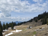 Grundmauern der ehemaligen Alm (Foto gespeichert zu Ausgangspunkt Ehem. Hofbauern Hochalm),#