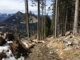 Zwischen Wagneralm und <a href=/gipfel/feichteck-536/>Feichteck</a> (Foto gespeichert zu <a href=/wanderweg/wagneralm-feichteck-2097/>Weg</a>),#