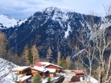 Feilalm (Foto gespeichert zu Ausgangspunkt Feilalm),#