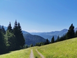 Weg runter zum Wiesensee ,#Foto: ManuelaU