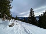 Blick kurz vorm Gipfel Richtung Südost (Foto gespeichert zu Ausgangspunkt Fockenstein),#Foto: JuttaS
