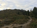 Zwischen Loassattel und Kleinem Gamsstein (Foto gespeichert zu <a href=/wanderweg/loassattel-kleiner-gamsstein-1535/>Weg</a>),#