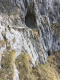  (Foto gespeichert zu Ausgangspunkt Goldloch),#