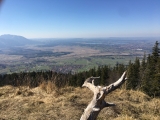 Blick vom Großen Illing auf Ohlstadt (Foto gespeichert zu Ausgangspunkt Großer Illing),#