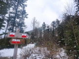 Blick zum <b>Kleiner Osser</b>  (Foto gespeichert zu <a href=/wanderweg/osserschutzhaus-bahnhof-lam-16966/>Weg</a>),#