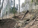 Aufstieg zum Pelzenkaser (Foto gespeichert zu <a href=/wanderweg/strehtrumpf-pelzenkaser-7025/>Weg</a>),#