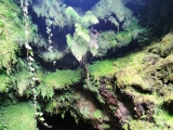Eingang (Foto gespeichert zu Ziel Gruta da Malha),#