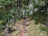 Nur die letzten 50m sind ein schmaler Steig,#