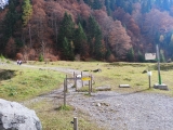 Über den Steig zur Binsalm (Foto gespeichert zu <a href=/wanderweg/binsalm-wanderparkplatz-alpengasthof-eng-3956/>Weg</a>) (Foto gespeichert zu Ziel Binsalm),#