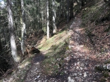 Ein wunderschöner, alter Weg,#