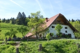 Hefteralm