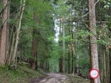 Bikeverbot ab der Dudlalm (Foto gespeichert zu <a href=/wanderweg/parkplatz-laengental-laengenberg-21903/>Weg</a>),#