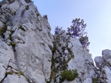 Aufstieg kletternd durch die Rinne (Bildmitte),#