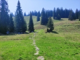 Unzählige Stein- und Holzstufen führen zum Predigtstuhl (Foto gespeichert zu <a href=/wanderweg/grozach-bergwachthuette-predigtstuhl-18489/>Weg</a>),#