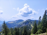 Aufstieg zum <a href=/gipfel/heuraffelkopf-12444/>Heuraffelkopf</a> und Blick zurück zum Predigtstuhl und <a href=/gipfel/klausenberg-3231/>Klausenberg</a> (Foto gespeichert zu <a href=/wanderweg/predigtstuhl-heuraffelkopf-18491/>Weg</a>),#
