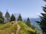 Heuraffelkopf