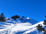 Hirschbichel