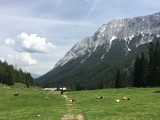 Blick auf die Gaistalalm mit <b>Hohe Munde Westgipfel</b>   und <a href=/gipfel/hohe-munde-ostgipfel-754/>Hohe Munde Ostgipfel</a>   (Foto gespeichert zu <a href=/wanderweg/tillfussalm-gaistalalm-3627/>Weg</a>),#
